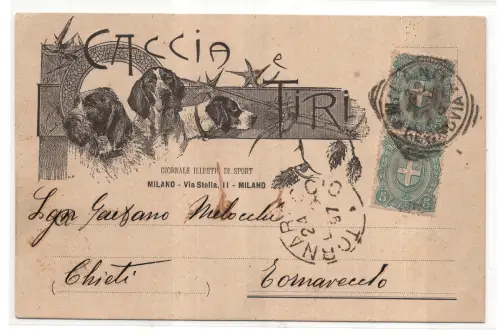 Jagd und Schießen - Giornale Sport Milano - Hunde