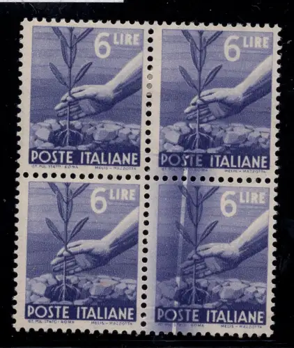 DEMOCRATICA 6 L. QUARTINA MIT CHIRURGISCHEM SCHNITT