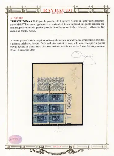 Triest A - Postpakete Lire 100 Nr.22s - Rarität - Zert. Diena MNH