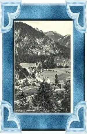 Wildalpen v.1937 Dorfansicht (9859)