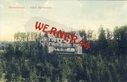 Alpnach von 1910 Hotel Bärenstein (21631)