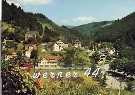 Schönmünzach v. 1965 Teil-Dorf-Ansicht (27059)