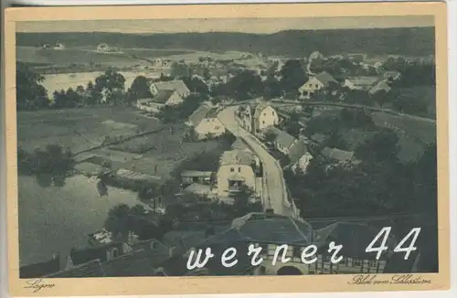 Lagow v.1933 Blick vom Schloßturm zum Dorf hin (4394)