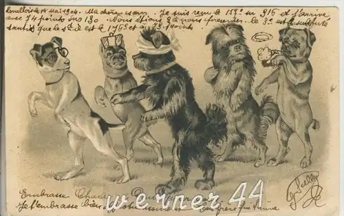 5 Hunde unterwegs auf Tour v.1904 (23548-25)