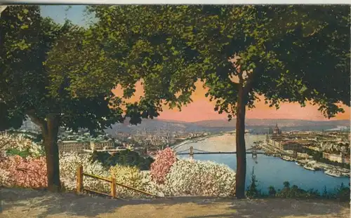 Budapest v. 1920  Aussicht vom Gellertberge  (50950)