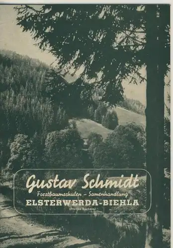 Elsterwerda-Biehla v. 1940 Gustav Schmidt - Forstbaumschulen und Samenhandlung  (51442)