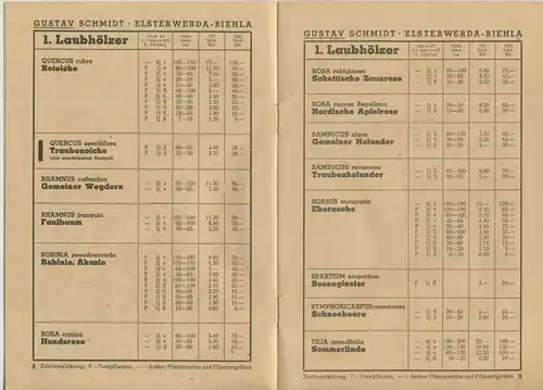 Elsterwerda-Biehla v. 1940 Gustav Schmidt - Forstbaumschulen und Samenhandlung  (51442)