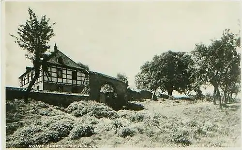 Burgfrey v.1934 Ruine Burgfrey + 1000j. Eiche.(19369)