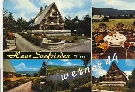Titisee v. 1991  Haus Seefrieden  (25700)