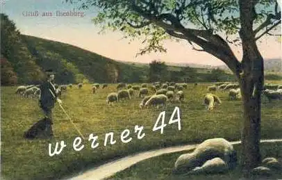 Ilsenburg v. 1918  Schäfer mit seiner Herde  (25918)
