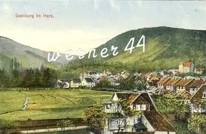 Ilsenburg v. 1918  Teil-Stadt-Ansicht  (25921)