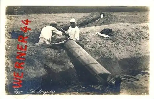 Ägypten v. 1950  Field Irrigating-Bewässerungskanal anschließen --  siehe Foto !!   (35257)