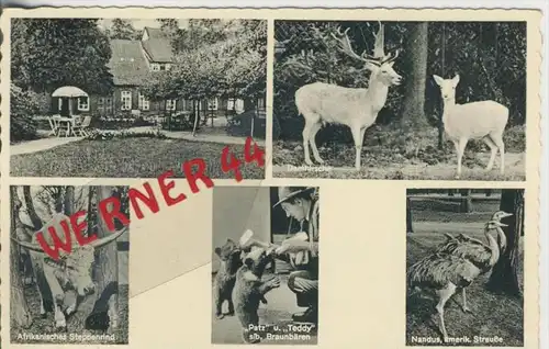 Jaderberger Tiergarten v. 1958   5 Ansichten mit Gasthof ---  siehe Foto !!   (27766)