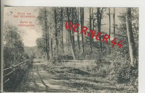 Bad Rothenfelde v. 1908  Partie im Wellengarten ---  siehe Foto !!   (28941)