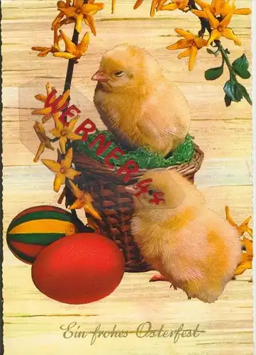 Ostern v. 1966  2 Küken im Korb --  siehe Foto !!  (29279)