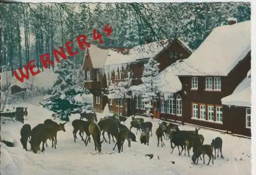 Bad Harzburg v. 1963  Harzhotel-Molkenhaus im Winter mit Rehe  --  siehe Foto !!  (30386)