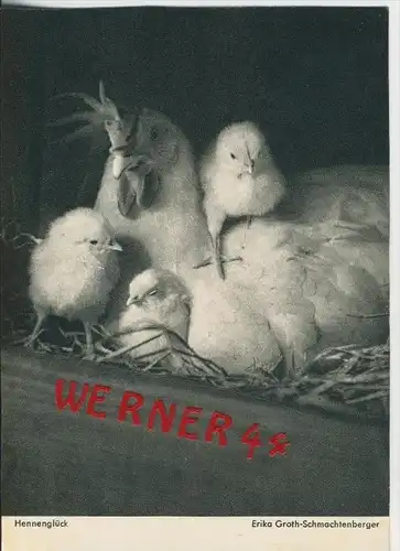 Ostern v. 1957  Hennenglück  --  siehe Foto !!  (30700)