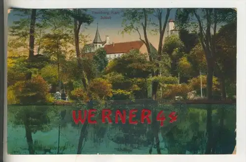 Ilsenburg im Harz v. 1929  Scloß,See mit Anlagen   (31037)