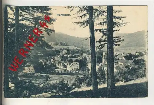 Herrenalb v. 1911 Teil-Dorf-Ansicht   (31039)