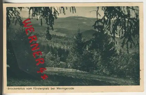 Wernigerode v. 1943  Brockenblick vom Försterplatz bei Wernigerode   (31594)