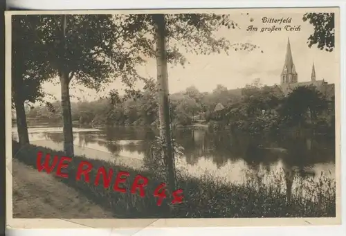 Bitterfeld v. 1928  Am großen Teich   (31681)