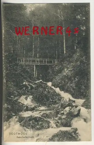 Todtmoos v. 1910  Rabenòcheschlucht mit Holzbrücke   (33751)