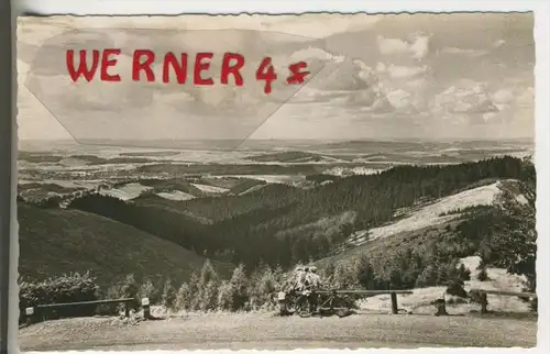 Heiligenstock v. 1965  Blick ins Harzer Vorland   (35519)