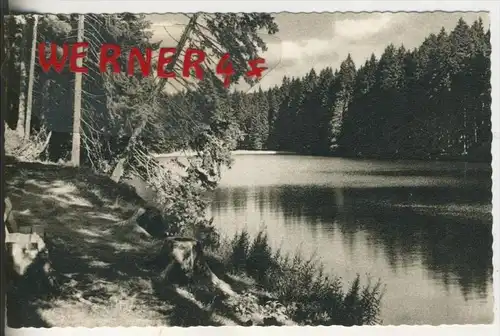 Braunlage v. 1964  Der Silberteich   (36824)