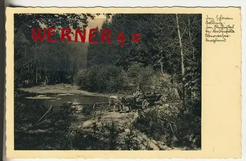 Bodenfelde v. 1938  Im Oberweserbergland - Pferdegespann mit Baumstämme  (37610)