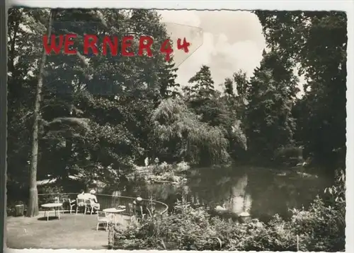 Badenweiler v. 1968  Schwanenweiher im Kurpark   (37970)