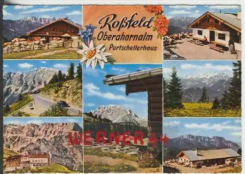 Roßfeld v. 1976  Oberahornalm-Purtschellerhaus  ( 38426)