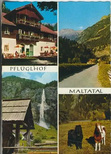 Maltatal v. 1978  Alpenhotel "Pflüglhof"  (40717)