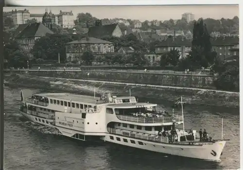 Pirna v. 1966  Die weiße Flotte- Wilhelm Pieck  (40917)