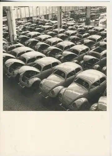 Wolfburg v. 1953  VW-Lackierte Käfer ,Aufgenommen von Peter Keetmann (41191)