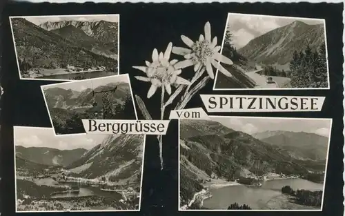 Berggrüsse vom Spitzingsee v. 1959  5 Ansichten  (41397)