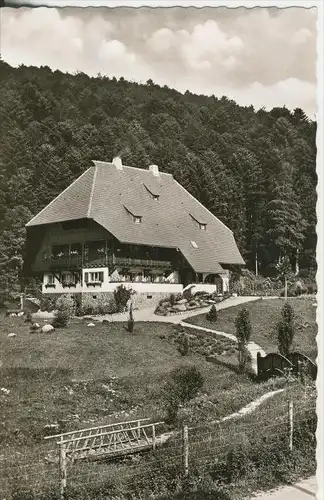 Herrenalb v. 1968  Schwarzwaldhaus im Gaistal  (41404)