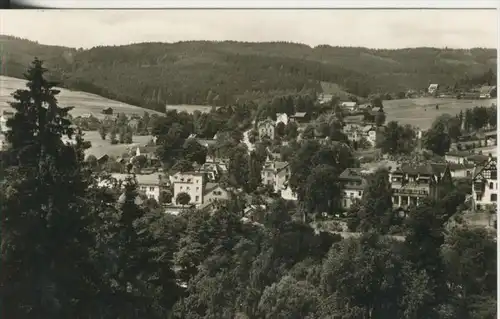 Bad Elster v. 1967  Teil-Stadt-Ansicht  (41458)