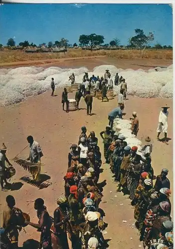 Nigeria v. 1974  Die Baumwoll Ernte (41572)