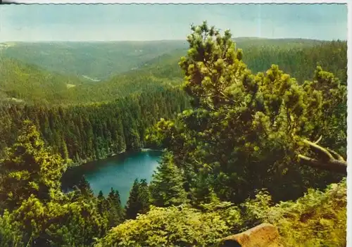 Ruhestein v. 1962  Der Wildsee  (Din a5-Karte) (41705)
