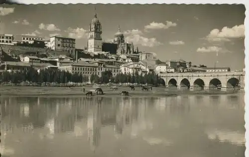 Salamanca v. 1956   Vista Parcial y Puente Romano  (42308)