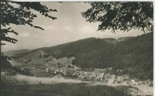 Schleusingerneundorf v. 1962  Total Dorf - Ansicht  (43662)