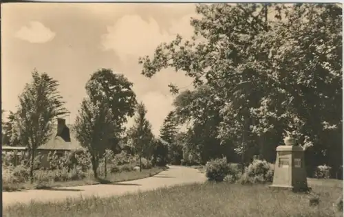 Ostseebad Zingst v. 1957  Platz des Friedens  (43689)