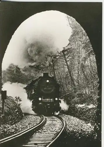 Saalfeld-Sonneberg v. 1983 Lok 95009 bei der Einfahrt in den Tunnel Lippelsdorf (44148)