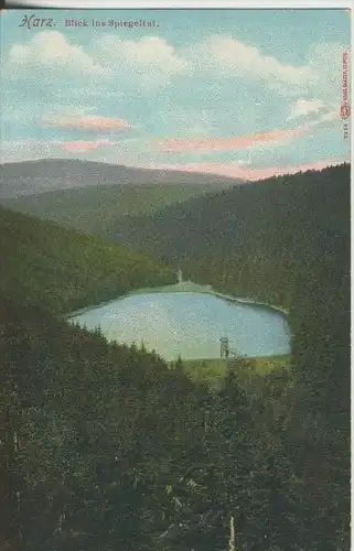 Harz v. 1907  Blick ins Spiegeltal  (44531)