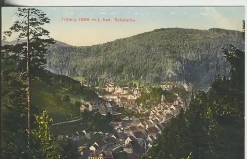 Triberg v. 1912  Teil-Dorf-Ansicht  (44717)