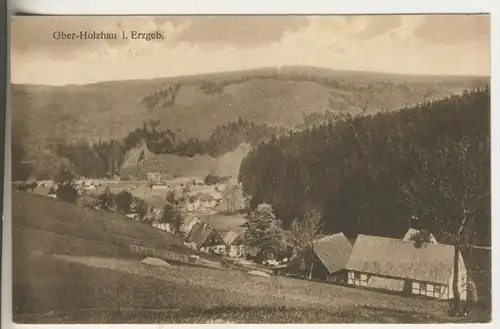 Ober-Holzhau v.1925 Dorfansicht (802-N)