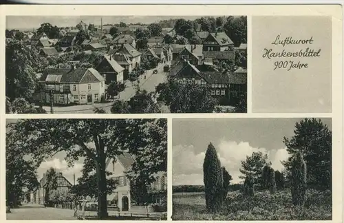Hankensbüttel v.1940 Dorfansicht,Dorfstrasse mit Gasthof,Heidelandschaft (1071-N)