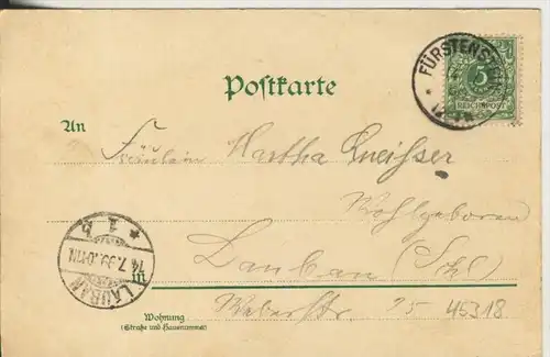 Fürstenstein v. 1899  Schloß,Neue Schweizerei,Wappen.Wilhelms-Bad-Freiburg  (45318) NEU !!