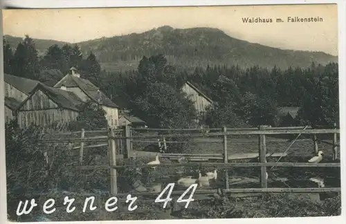 Waldhaus mit Falkenstein v. 1906  (1825)