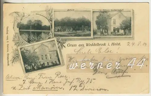 Gruss aus Weddelbrock i. Holst. v. 1904 See,Villa,Schule,Gastwirtschaft M. Wolters  (1853)